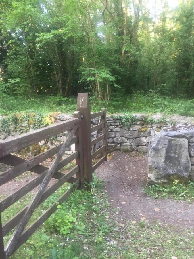 Sallys Cabin Kilcolgan Dış mekan fotoğraf